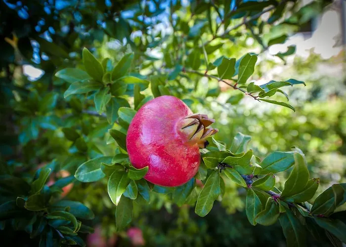 And Dea Adults Only 4*