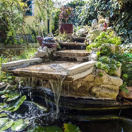 Guest house And Dea Adults Only 4*