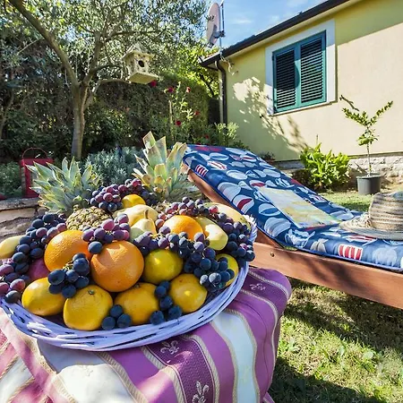 And Dea Adults Only 4* Rovinj
